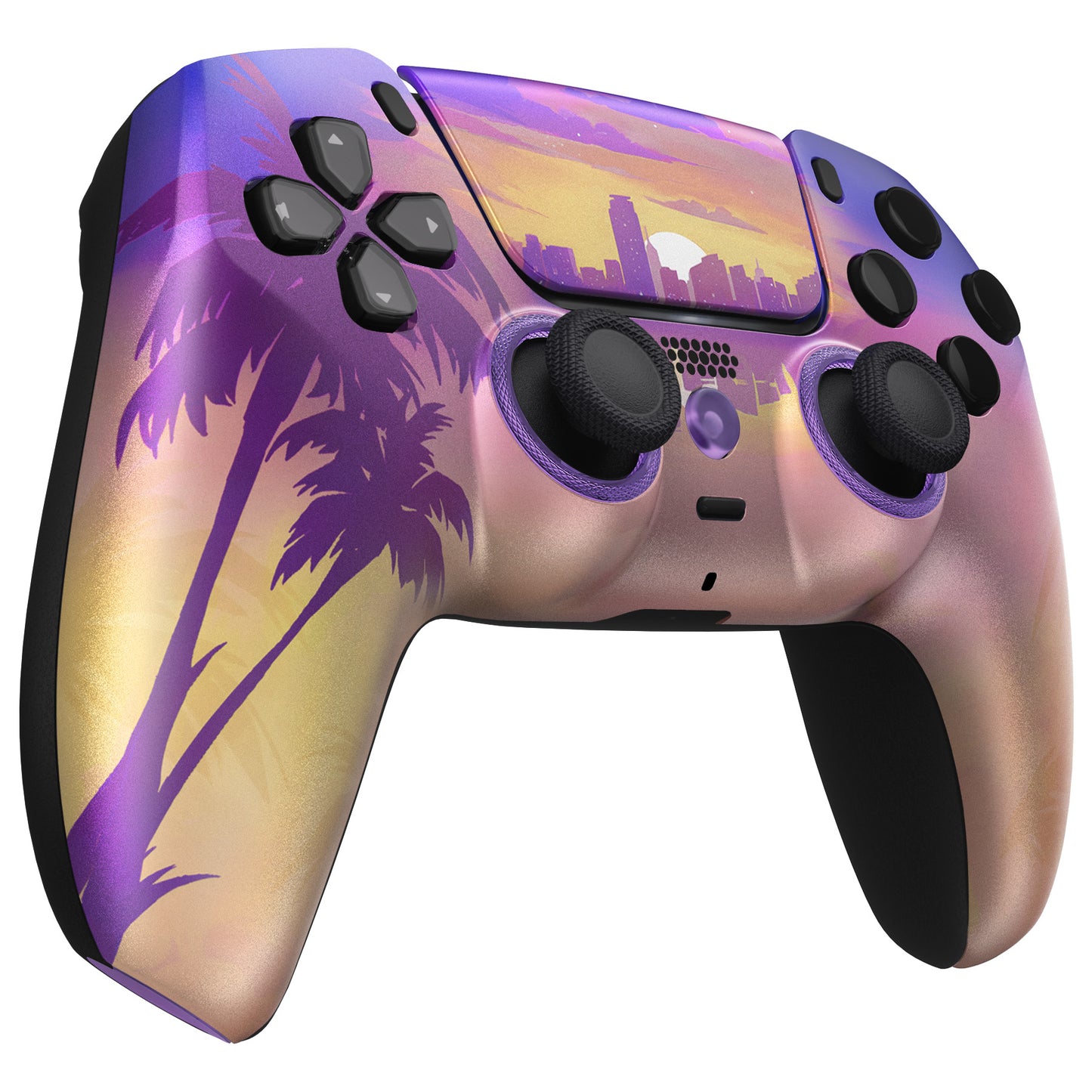 Deluxe Gaming Custom PlayStation 5 Controller