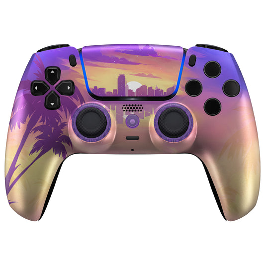Deluxe Gaming Custom PlayStation 5 Controller