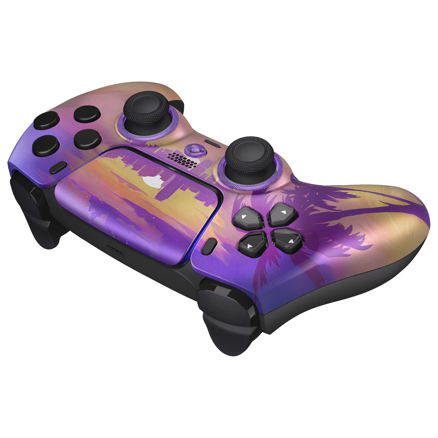Deluxe Gaming Custom PlayStation 5 Controller